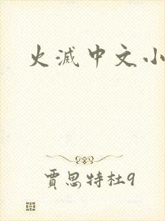 火灭中文小说