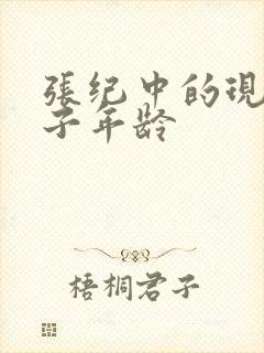 张纪中的现任妻子年龄