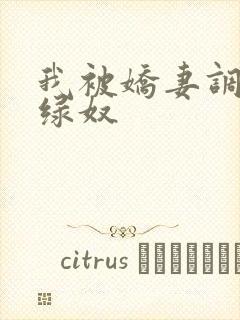 我被娇妻调教成绿奴