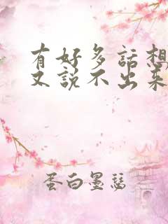 有好多话想说却又说不出来的句子