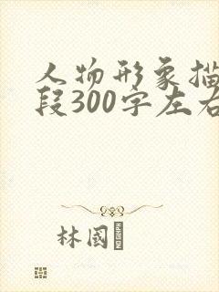 人物形象描写片段300字左右