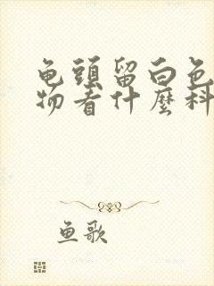 龟头留白色脓状物看什么科