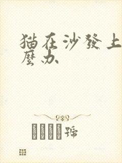 猫在沙发上尿怎么办