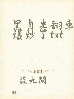 黑月光翻车后被爆炒了txt