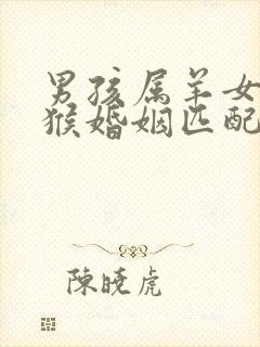 男孩属羊女孩属猴婚姻匹配吗