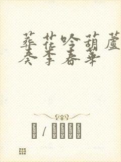 葬花吟葫芦丝独奏李春华