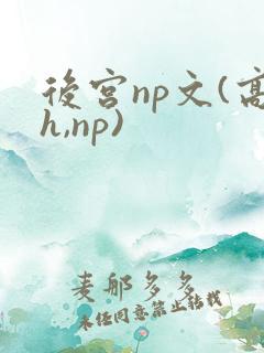 后宫np文(高h,np)
