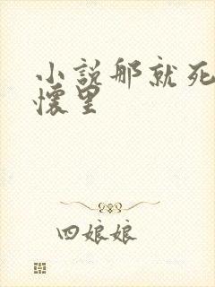 小说那就死在我怀里