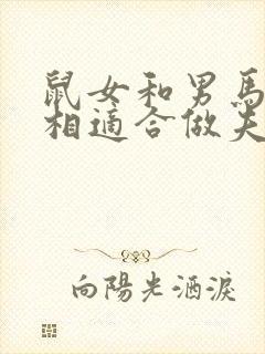 鼠女和男马的属相适合做夫妻吗