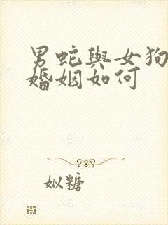 男蛇与女狗相配婚姻如何