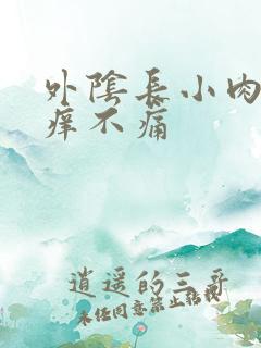 外阴长小肉粒不痒不痛