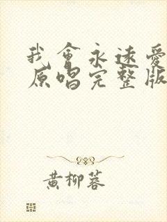 我会永远爱着你原唱完整版