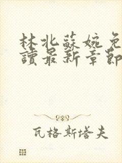 林北苏婉免费阅读最新章节