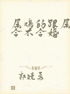 属鸡的跟属鼠的合不合婚