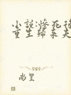 小说:惨死后,重生归来夫人