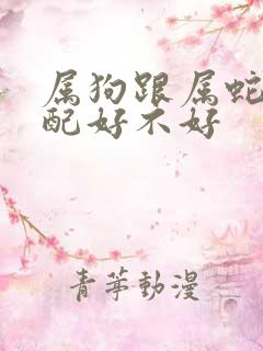 属狗跟属蛇的婚配好不好