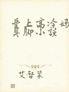 爱上高冷妈妈的臭脚小说