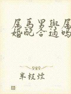 属马男与属马女婚配合适吗