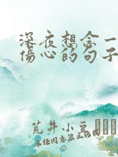 深夜想念一个人伤心的句子