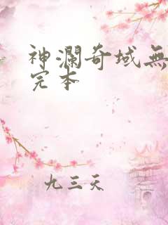 神澜奇域无双珠完本