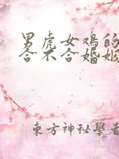 男虎女鸡的属相合不合婚姻