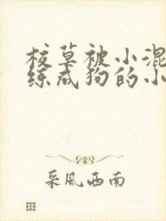 校草被小混混训练成狗的小说