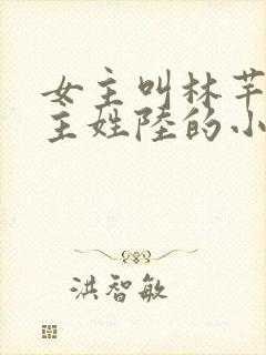 女主叫林芊芊男主姓陆的小说