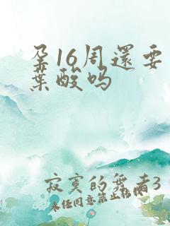 孕16周还要吃叶酸吗