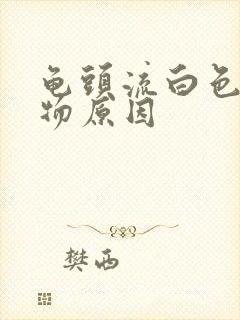 龟头流白色脓状物原因