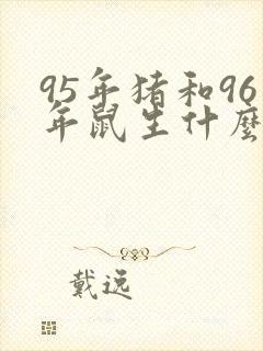 95年猪和96年鼠生什么属相宝宝好