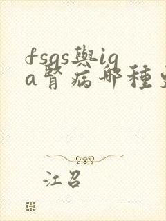 fsgs与iga肾病哪种更易治疗