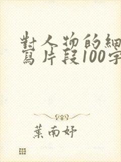 对人物的细节描写片段100字