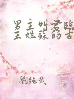 男主叫君临渊女主姓苏的古言小说