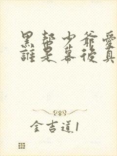 黑帮少爷爱上我谁是幕后真凶