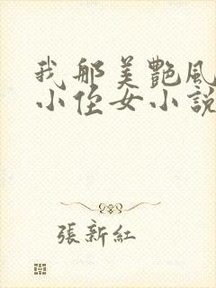 我那美艳风骚的小侄女小说