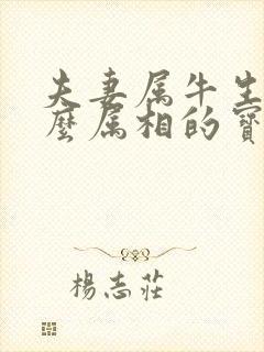 夫妻属牛生个什么属相的宝宝好