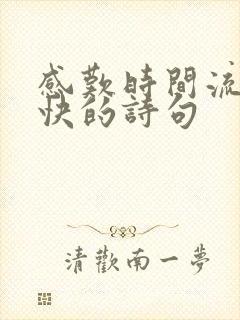 感叹时间流逝之快的诗句