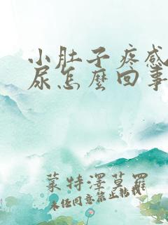 小肚子疼感觉有尿怎么回事