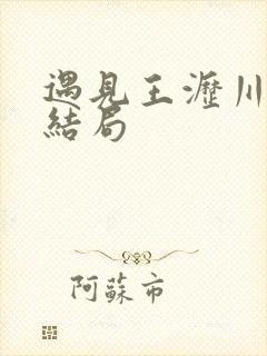 遇见王沥川小说结局