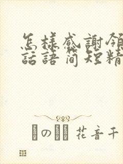 怎样感谢领导的话语简短精辟