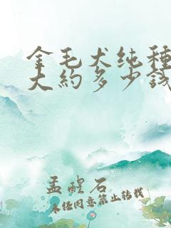 金毛犬纯种一只大约多少钱