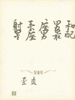 射手座男和什么星座男最配对