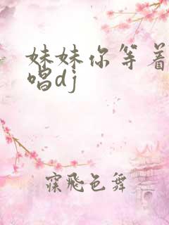 妹妹你等着我原唱dj