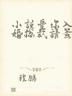 小说爱你入骨隐婚总裁请签字