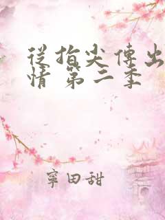 从指尖传出的热情 第二季