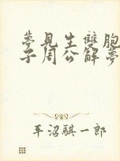 梦见生双胞胎儿子周公解梦