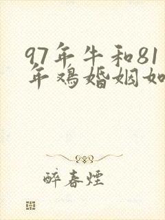 97年牛和81年鸡婚姻如何