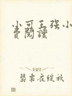 小可王强小说免费阅读