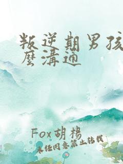 叛逆期男孩子怎么沟通