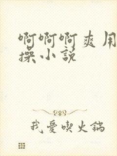 啊啊啊爽用力啊操小说